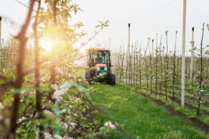 agricoltura-innovazione - oggiorno.it